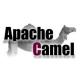 Image for the Apache Camel