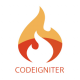Image for CodeIgniter category