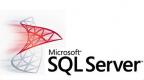 Image for the Microsoft SQL Server